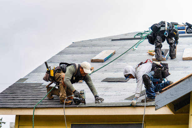 Professional Flat Roof Repair technician working in Sheldon, IL